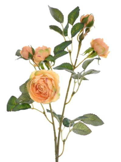 RÓŻA MINI NA GAŁĄZCE 50CM SUN760 LT TEA