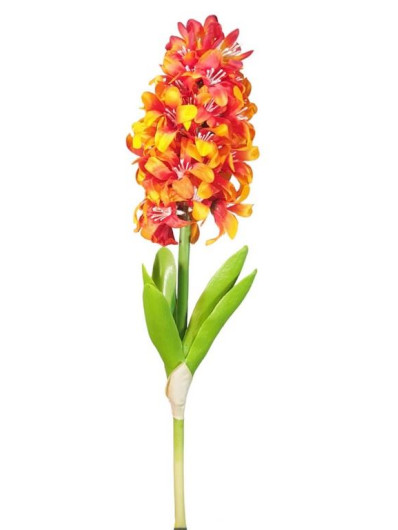 HIACYNT NA ŁODYDZE Z LIŚCIEM 46CM FLAME ORANGE