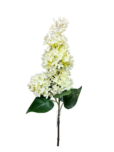 BEZ POJEDYNCZY 72 CM GUMOWY CREAM