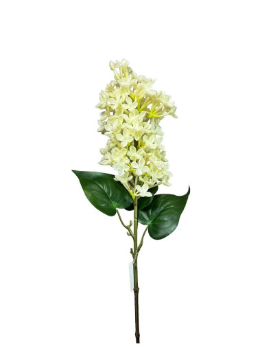 BEZ GAŁĄZKA GUMA 56cm CREAM