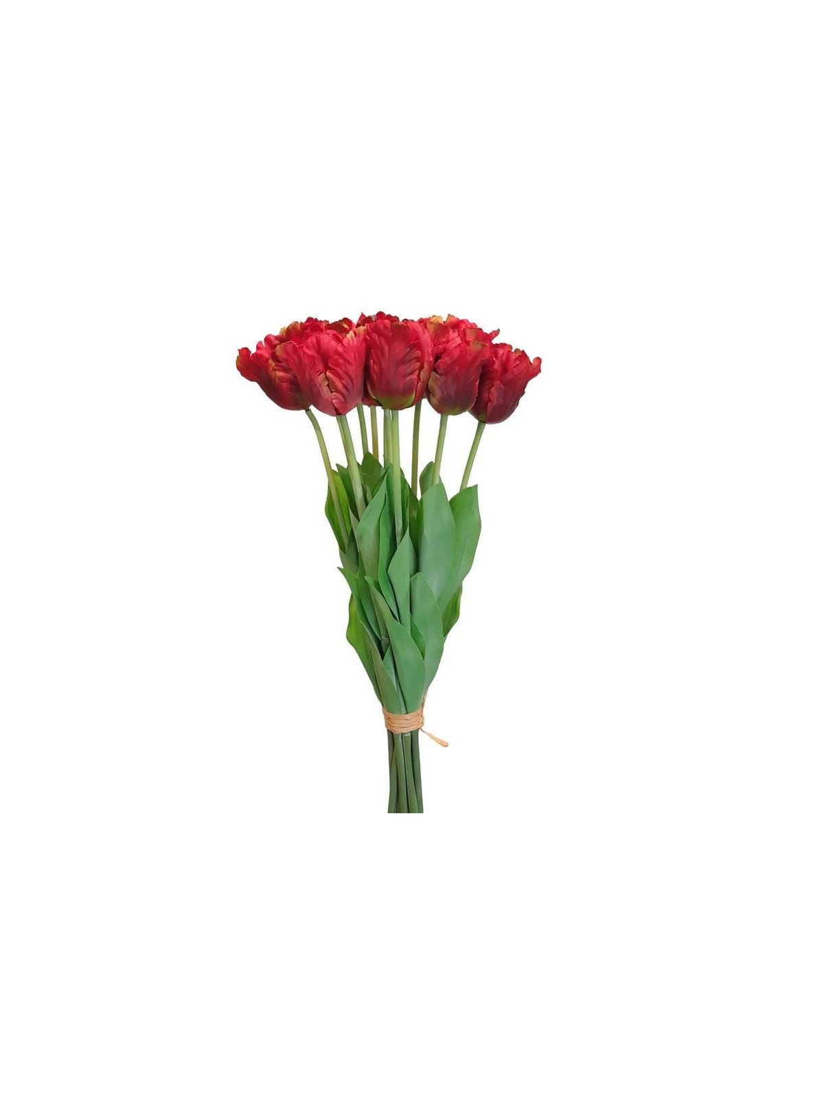 TULIPAN POJEDYNCZY 50CM ART260 RED