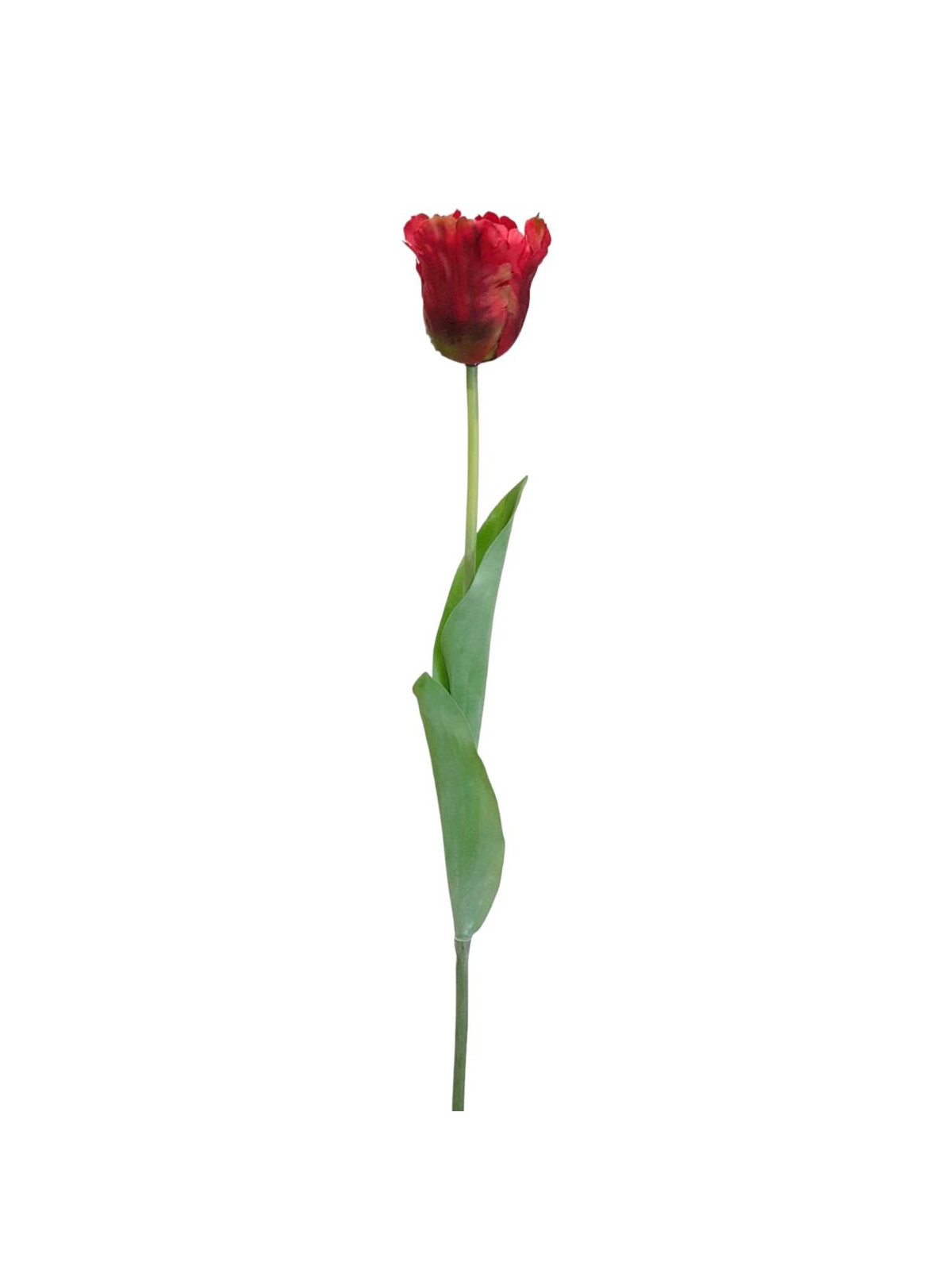 TULIPAN POJEDYNCZY 50CM ART260 RED