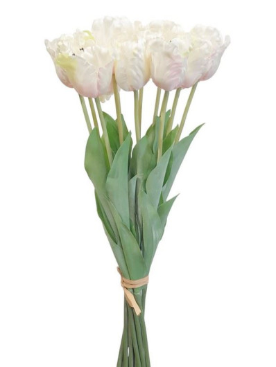 TULIPAN POJEDYNCZY 50CM ART260 CREAM EDGE PINK