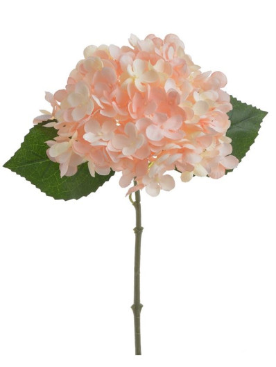 HORTENSJA DROBNA 34CM POWDER LT PEACH