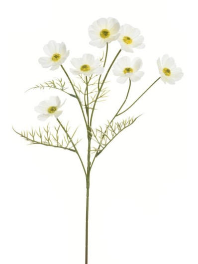 WARSZAWIANKA - KOSMOS 55CM LIU78 WHITE