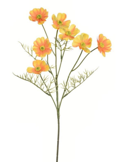 WARSZAWIANKA - KOSMOS 55CM LIU78 YELLOW