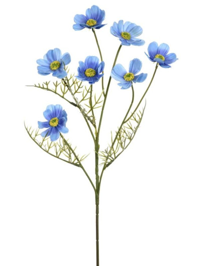 WARSZAWIANKA - KOSMOS 55CM LIU78 LT BLUE