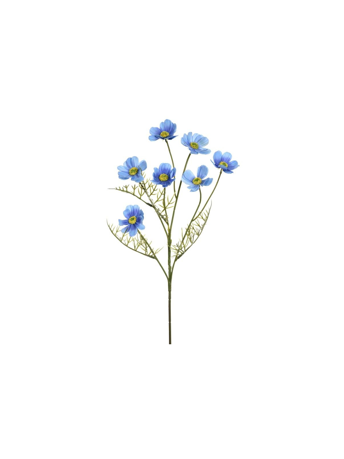 WARSZAWIANKA - KOSMOS 55CM LIU78 LT BLUE