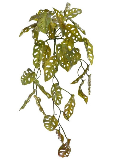 BLUSZCZ ZWIS FILODENDRON 52CM JUN019 GREEN BROWN