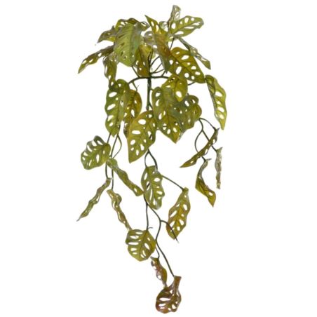 BLUSZCZ ZWIS FILODENDRON 52CM JUN019 GREEN BROWN