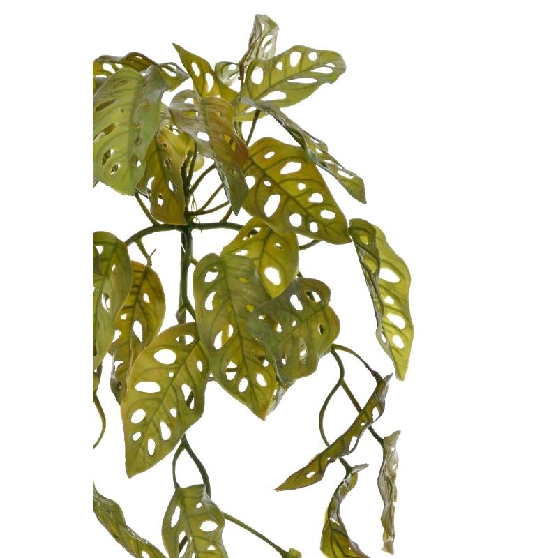 BLUSZCZ ZWIS FILODENDRON 52CM JUN019 GREEN BROWN