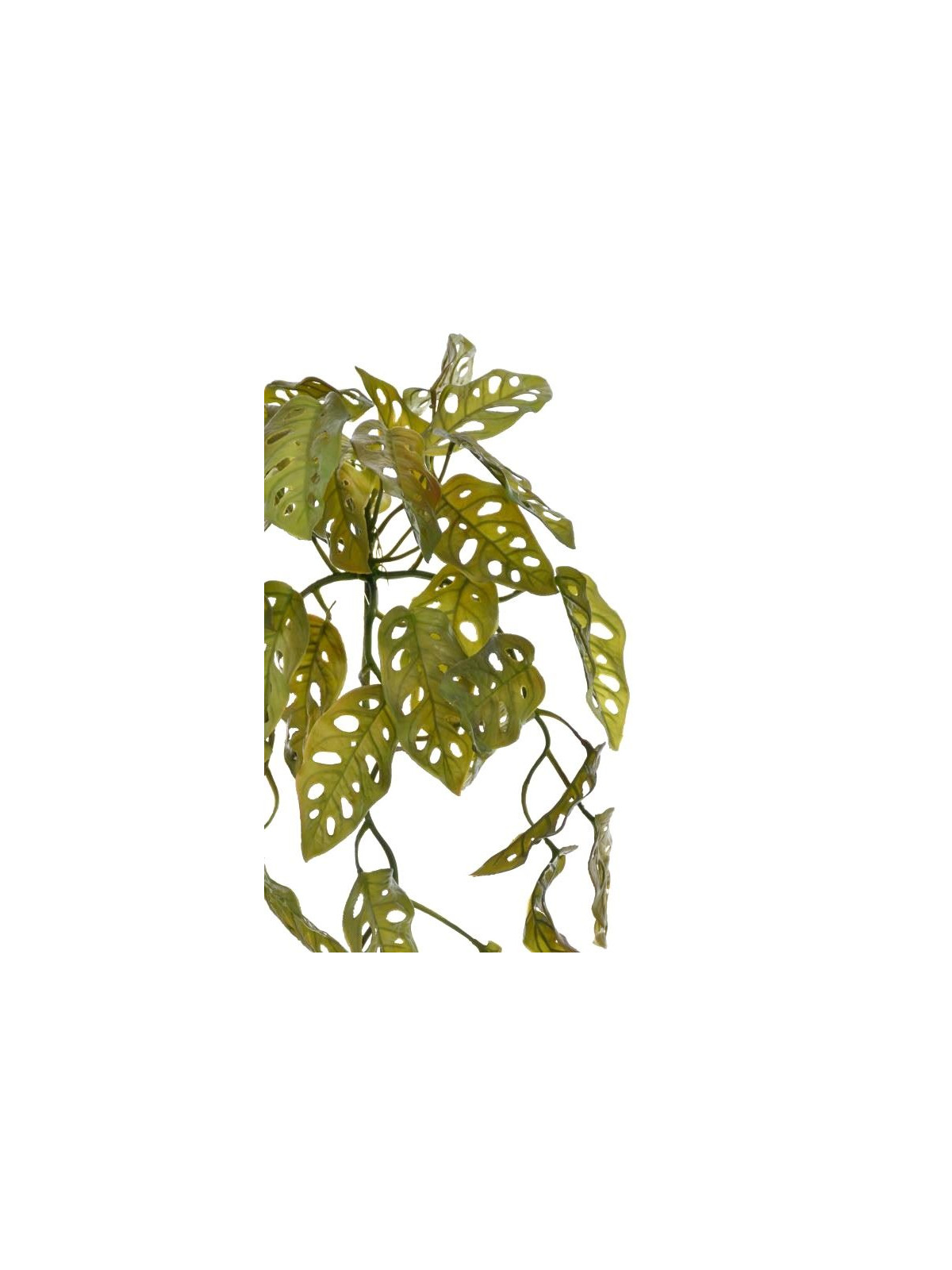 BLUSZCZ ZWIS FILODENDRON 52CM JUN019 GREEN BROWN