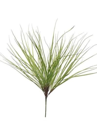 BUKIET TRAWY 22CN JUN022 GREEN