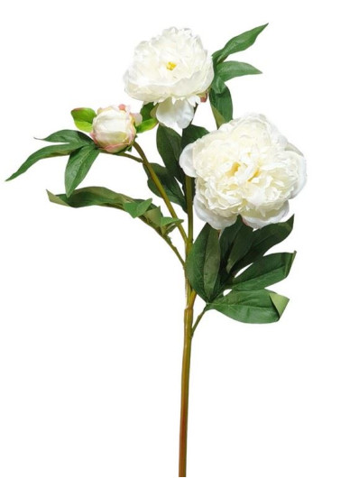 PEONIA GAŁĄZKA 3 KWIATY 76CM WHITE CREAM