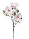 MAGNOLIA GAŁĄZKA 87CM WHITE LT PINK