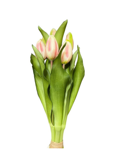 PĘCZEK TULIPANÓW W PĄKU 32CM WHITE PINK