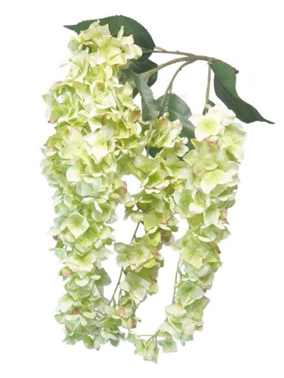 HORTENSJA ZWISAJĄCA 80CM 5 KWIATÓW LT GREEN