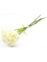 GOŹDZIK PĘCZEK 5 KWIATÓW 54CM WHITE CREAM