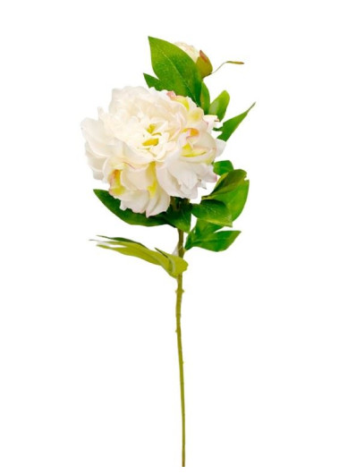 PEONIA Z PĄKIEM NA ŁODYDZE 62CM CREAM PINK