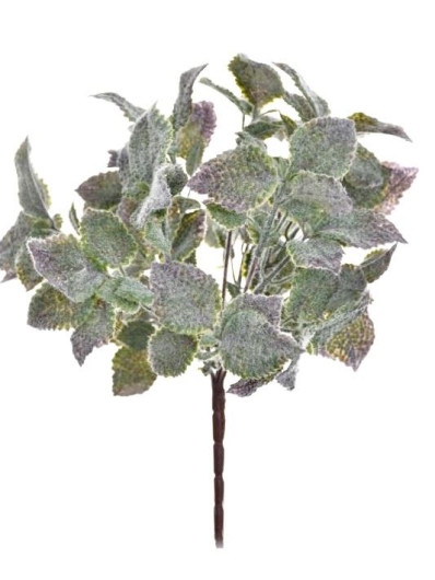 MIĘTA BUKIET OMSZAŁE LISTKI 7 GAŁĄZEK 34CM PURPLE