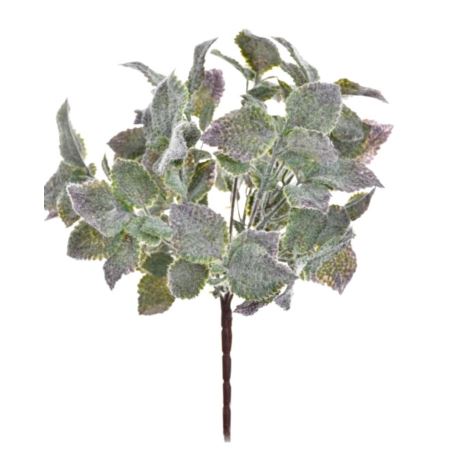 MIĘTA BUKIET OMSZAŁE LISTKI 7 GAŁĄZEK 34CM PURPLE