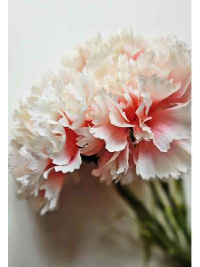 GOŹDZIK PĘCZEK 5 KWIATÓW 54CM LT PINK