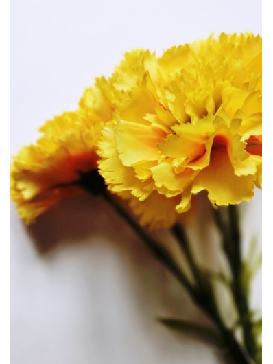 GOŹDZIK PĘCZEK 5 KWIATÓW 54CM ORANGE YELLOW