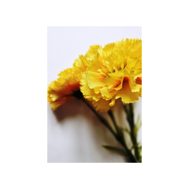 GOŹDZIK PĘCZEK 5 KWIATÓW 54CM ORANGE YELLOW
