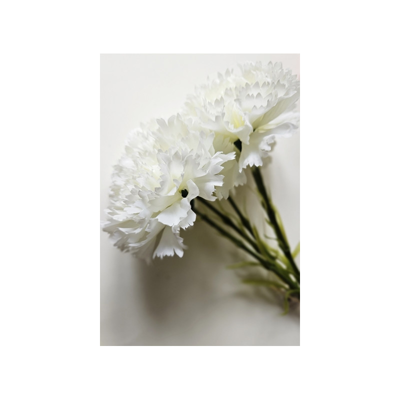 GOŹDZIK PĘCZEK 5 KWIATÓW 54CM WHITE CREAM