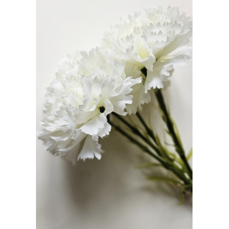 GOŹDZIK PĘCZEK 5 KWIATÓW 54CM WHITE CREAM