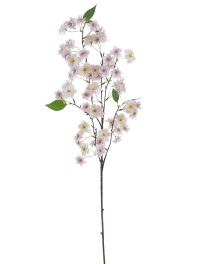 WIŚNIA KWITNĄCA - CHERRY BLOSSOM 90CM WHITE PINK