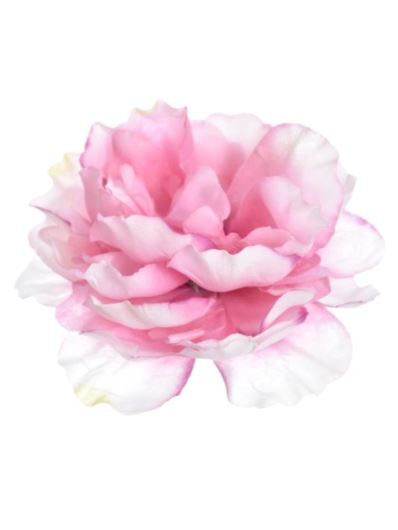 PEONIA GŁOWA 14CM LIU517 PINK