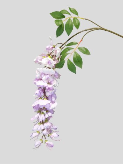 WISTERIA -GLICYNIA GAŁĄZKA 100CM CV26654 LT VIOLET