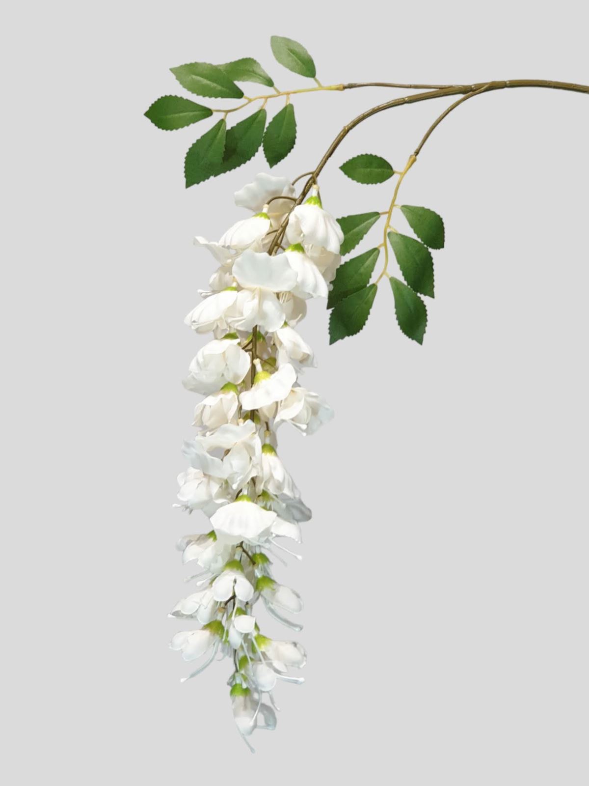 WISTERIA -GLICYNIA GAŁĄZKA 100CM CV26654 WHITE CR