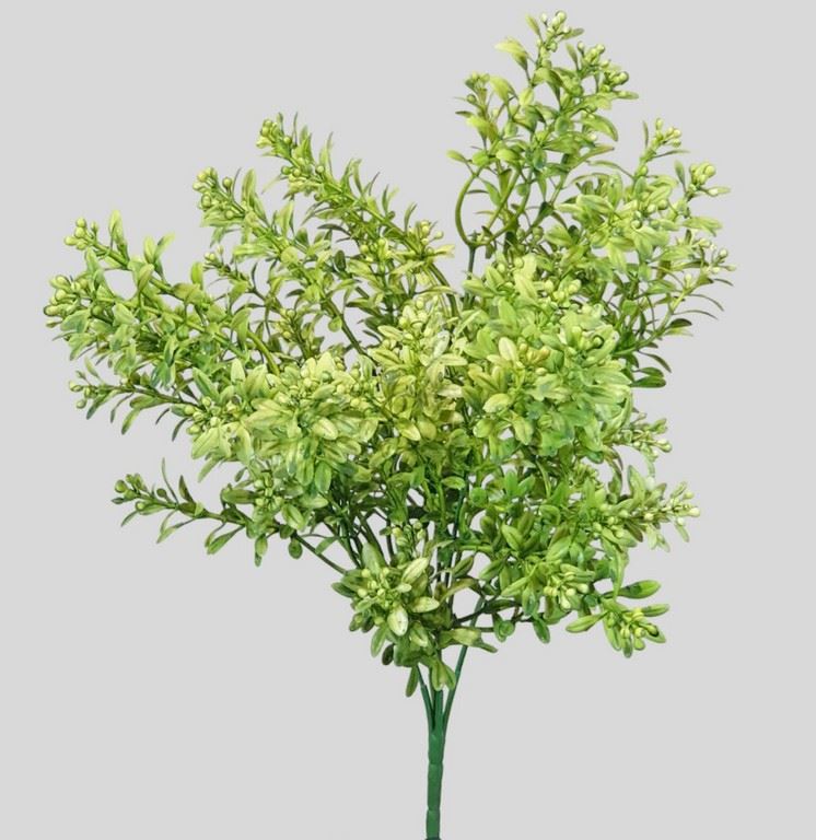 TYMIANEK Z KULECZKAMI DODATEK 35CM GREEN