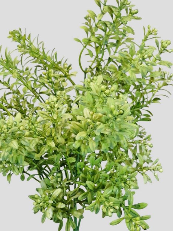 TYMIANEK Z KULECZKAMI DODATEK 35CM GREEN