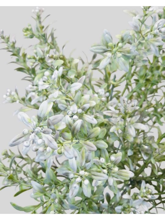 TYMIANEK Z KULECZKAMI DODATEK 35CM POWDER GREEN