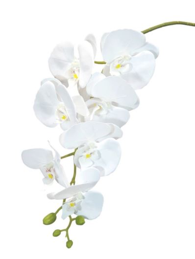 STORCZYK GUMA NATURAL 106CM ZB019 9 PURE WHITE