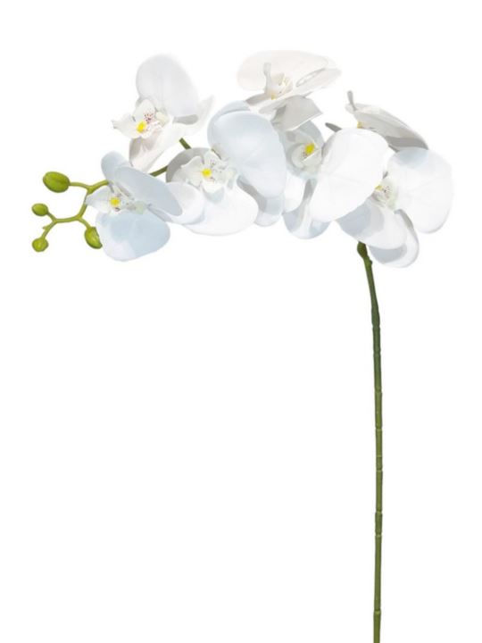 STORCZYK GUMA NATURAL 106CM ZB019 9 PURE WHITE