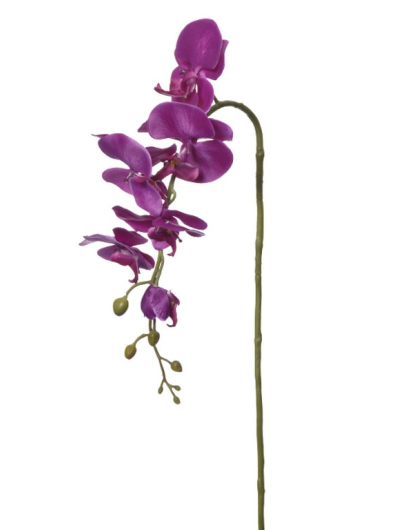STORCZYK SINGLE ORCHID SUN437 PURPLE