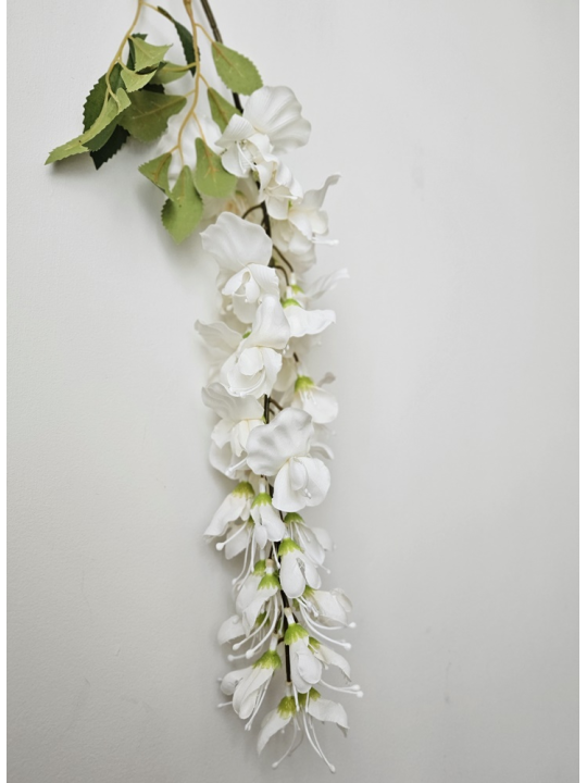 WISTERIA -GLICYNIA GAŁĄZKA 100CM CV26654 WHITE CR