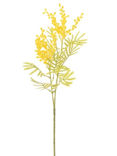 MIMOZA GAŁĄZKA X2 ŚREDNIA 76CM LLW002 YELLOW