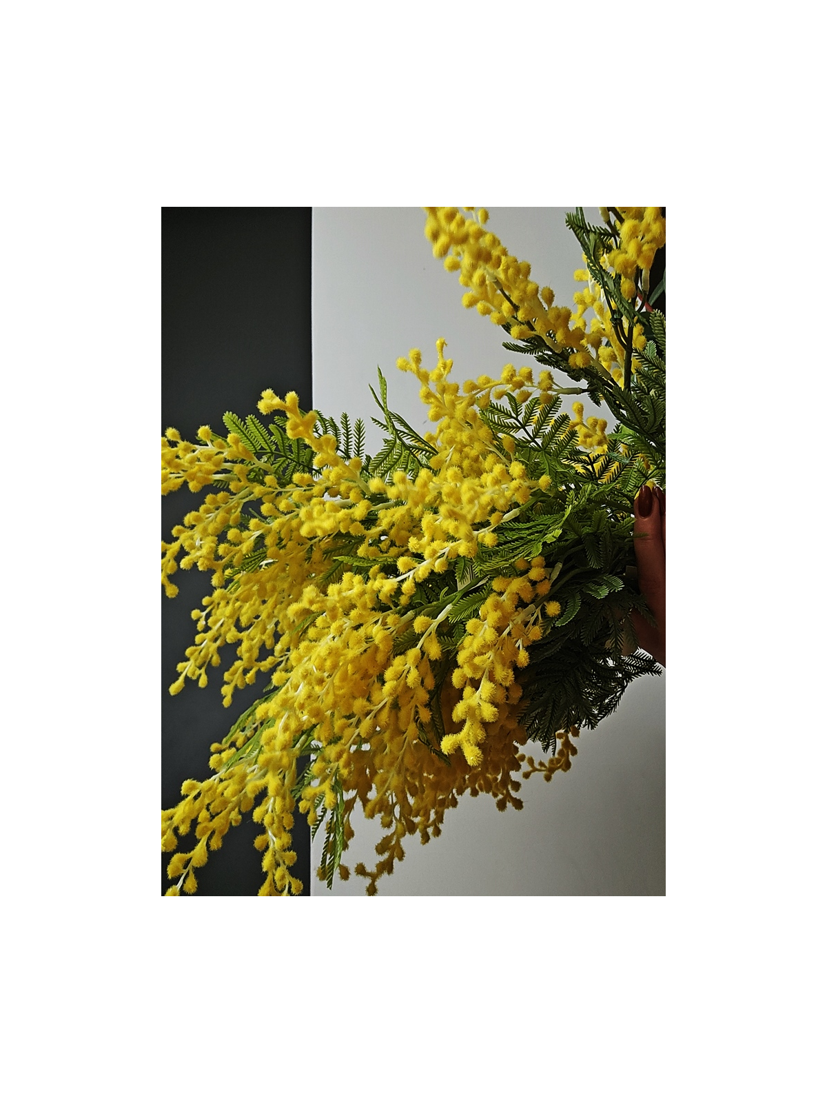 MIMOZA GAŁĄZKA X2 ŚREDNIA 76CM LLW002 YELLOW