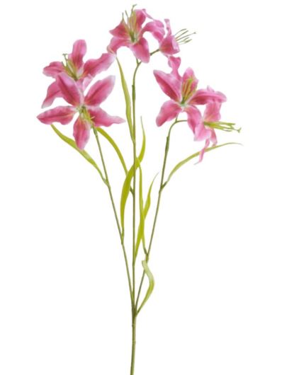 LILIA MINI DROBNA GAŁĄZKA 64CM BEAUTY PINK