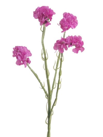 ZATRWIAN WRĘBNY GAŁĄZKA 62CM PURPLE