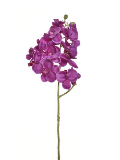 STORCZYK DROBNY 58CM SUN396 PURPLE