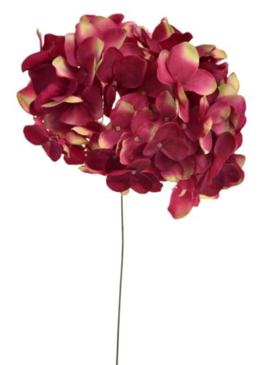 HORTENSJA GŁOWA DUŻA 20CM SUN771 BURGUNDY GREEN