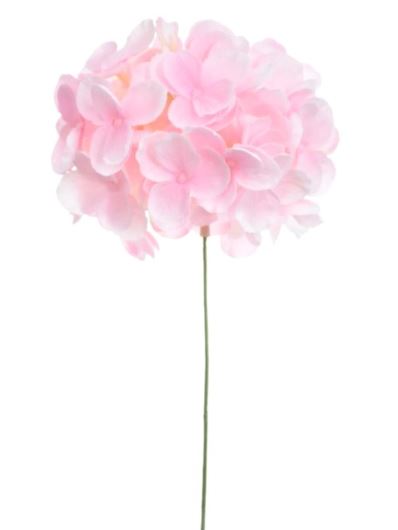 HORTENSJA GŁOWA MAŁA 12CM SUN772 SWEET PINK LT PIN