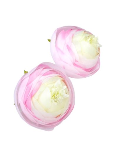 RANUNCULUS PEŁNIK GŁÓWKA 7CM X 6 CM LT PINK GREEN