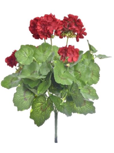PELARGONIA X7 40CM SUN534 RUBIN